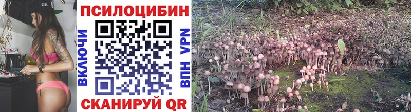 Псилоцибиновые грибы Cubensis  Купить закладки  Верхний Тагил 